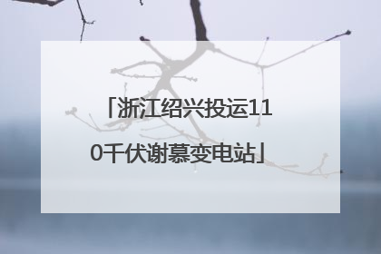 浙江绍兴投运110千伏谢慕变电站