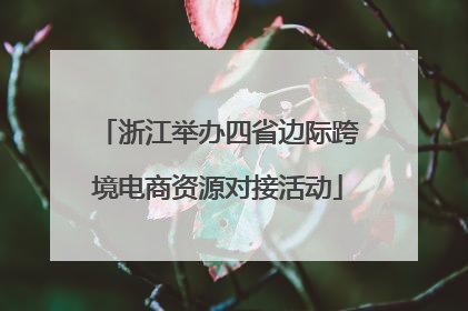 浙江举办四省边际跨境电商资源对接活动