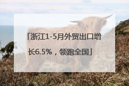 浙江1-5月外贸出口增长6.5%，领跑全国