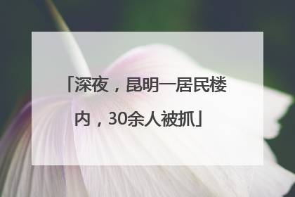 深夜，昆明一居民楼内，30余人被抓