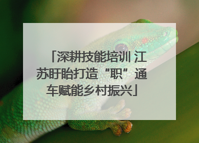 深耕技能培训 江苏盱眙打造“职”通车赋能乡村振兴