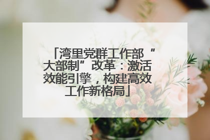 湾里党群工作部“大部制”改革：激活效能引擎，构建高效工作新格局