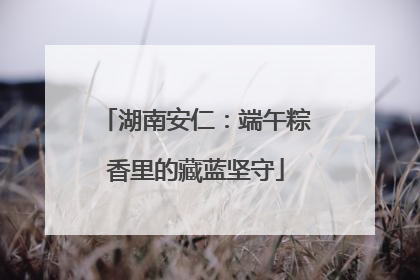 湖南安仁：端午粽香里的藏蓝坚守