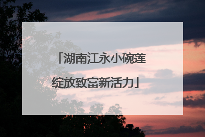 湖南江永小碗莲绽放致富新活力