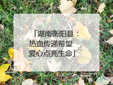 湖南衡阳县：热血传递希望 爱心点亮生命