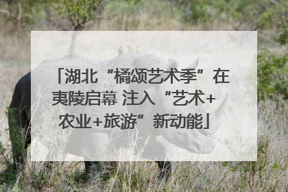 湖北“橘颂艺术季”在夷陵启幕 注入“艺术+农业+旅游”新动能