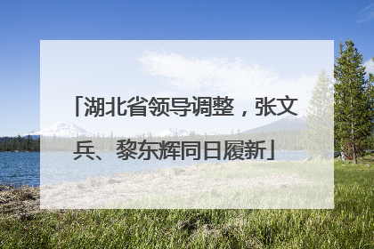 湖北省领导调整，张文兵、黎东辉同日履新