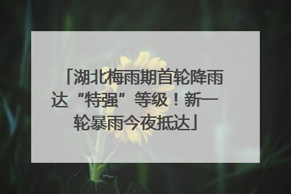 湖北梅雨期首轮降雨达“特强”等级！新一轮暴雨今夜抵达