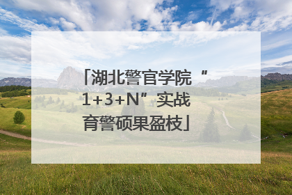 湖北警官学院“1+3+N”实战育警硕果盈枝