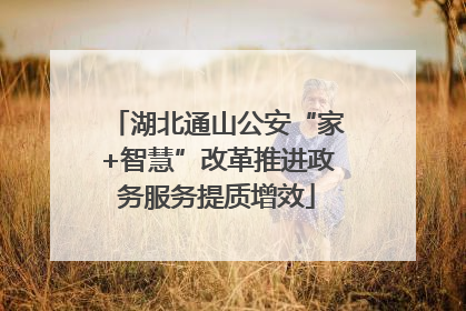 湖北通山公安“家+智慧”改革推进政务服务提质增效