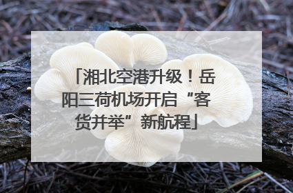 湘北空港升级！岳阳三荷机场开启“客货并举”新航程