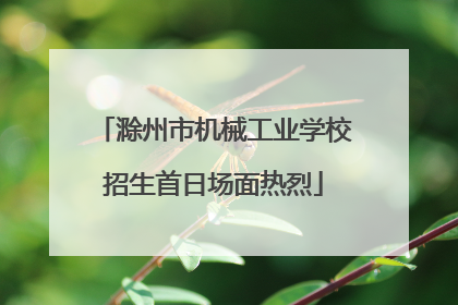 滁州市机械工业学校招生首日场面热烈