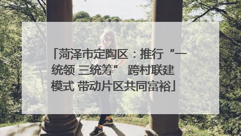 菏泽市定陶区：推行“一统领 三统筹” 跨村联建模式 带动片区共同富裕