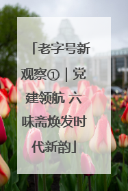 老字号新观察①｜党建领航 六味斋焕发时代新韵