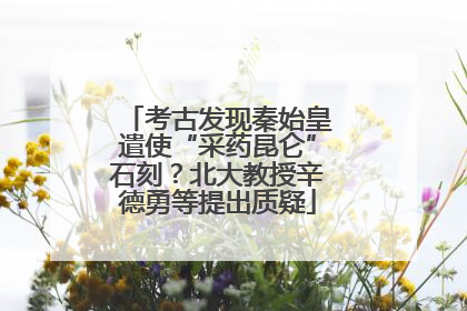 考古发现秦始皇遣使“采药昆仑”石刻？北大教授辛德勇等提出质疑