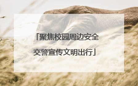 聚焦校园周边安全 交警宣传文明出行
