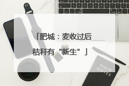 肥城：麦收过后秸秆有“新生”