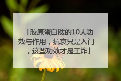 胶原蛋白肽的10大功效与作用，抗衰只是入门，这些功效才是王炸