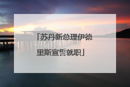 苏丹新总理伊德里斯宣誓就职