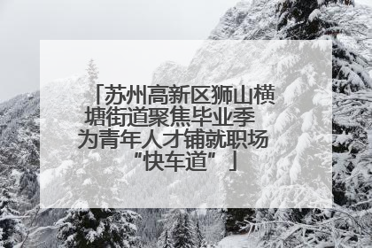 苏州高新区狮山横塘街道聚焦毕业季 为青年人才铺就职场“快车道”