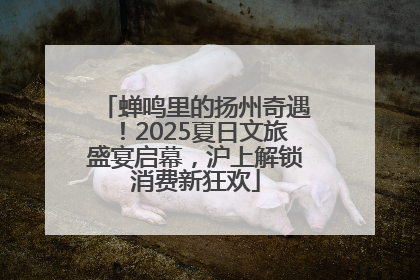 蝉鸣里的扬州奇遇！2025夏日文旅盛宴启幕，沪上解锁消费新狂欢
