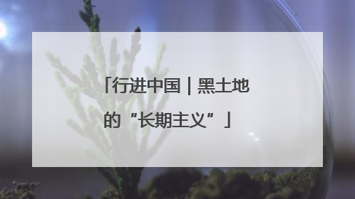 行进中国｜黑土地的“长期主义”