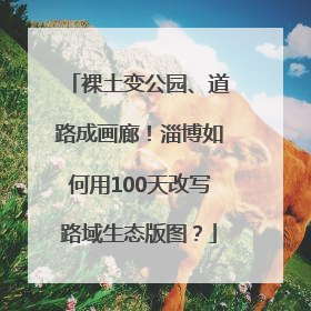 裸土变公园、道路成画廊！淄博如何用100天改写路域生态版图？