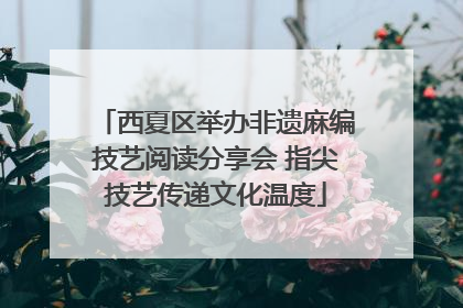 西夏区举办非遗麻编技艺阅读分享会 指尖技艺传递文化温度