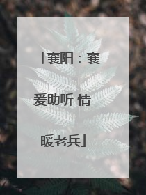 襄阳：襄爱助听 情暖老兵