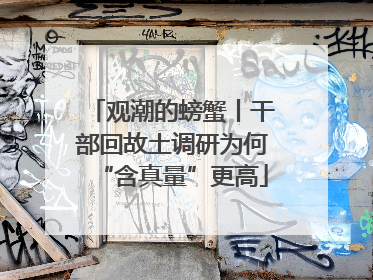 观潮的螃蟹丨干部回故土调研为何“含真量”更高