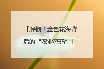 解锁！金色花海背后的“农业密码”