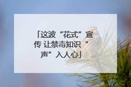 这波“花式”宣传 让禁毒知识“声”入人心