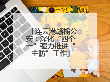连云港赣榆公安：深化“四个一”强力推进“主防”工作