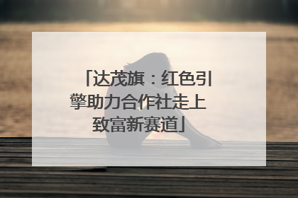 达茂旗：红色引擎助力合作社走上致富新赛道