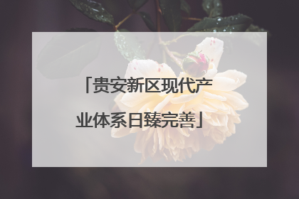 贵安新区现代产业体系日臻完善
