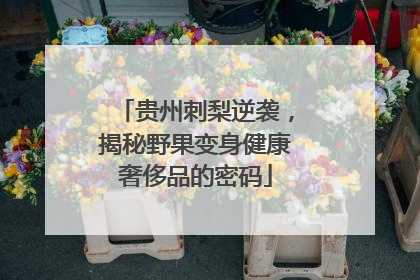 贵州刺梨逆袭，揭秘野果变身健康奢侈品的密码