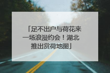 足不出户与荷花来一场浪漫约会！湖北推出赏荷地图
