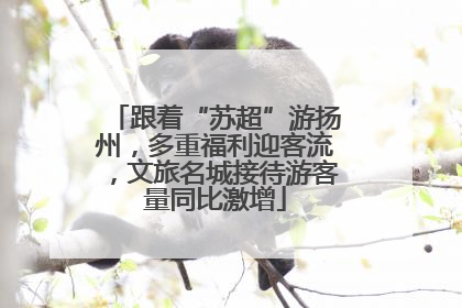 跟着“苏超”游扬州，多重福利迎客流，文旅名城接待游客量同比激增