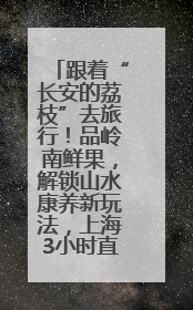 跟着“长安的荔枝”去旅行！品岭南鲜果，解锁山水康养新玩法，上海3小时直飞，自驾高速费优惠