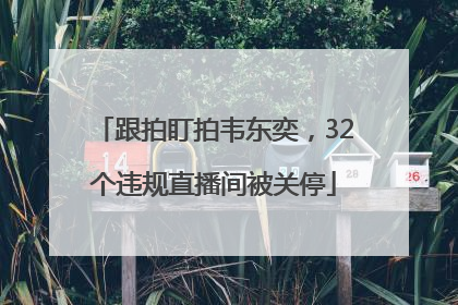 跟拍盯拍韦东奕，32个违规直播间被关停