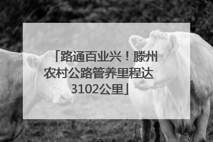 路通百业兴！滕州农村公路管养里程达3102公里