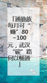 通勤族每月可“赚”80~100元，武汉“碳”路何以畅通
