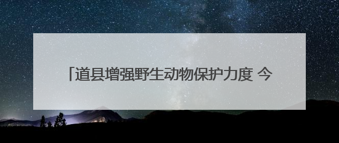 道县增强野生动物保护力度 今年以来共救助野生动物65只