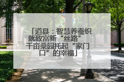 道县：智慧养蚕织就致富新“丝路” 千亩桑园托起“家门口”的幸福