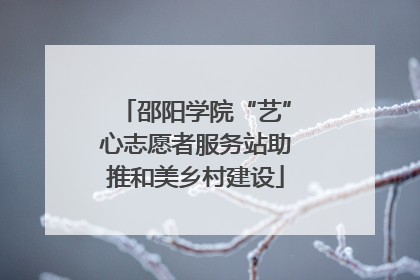 邵阳学院“艺”心志愿者服务站助推和美乡村建设