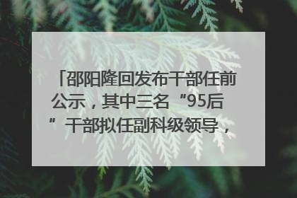 邵阳隆回发布干部任前公示，其中三名“95后”干部拟任副科级领导，均系硕士选调生
