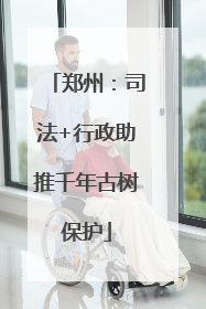 郑州：司法+行政助推千年古树保护