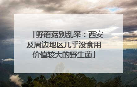 野蘑菇别乱采：西安及周边地区几乎没食用价值较大的野生菌