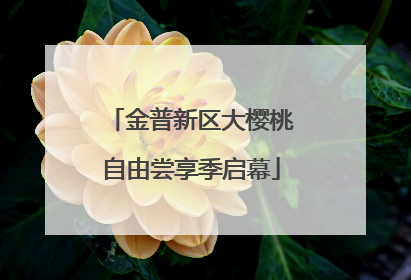 金普新区大樱桃自由尝享季启幕