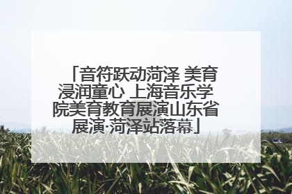 音符跃动菏泽 美育浸润童心 上海音乐学院美育教育展演山东省展演·菏泽站落幕